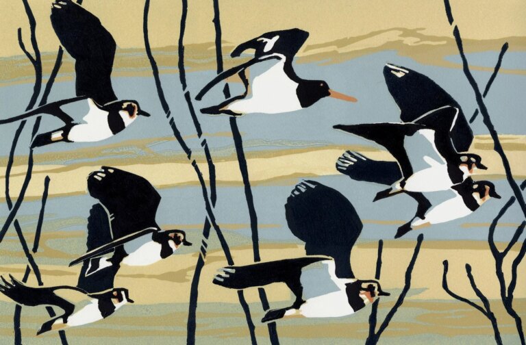 Staying with Lapwings ed17 by Max Angus