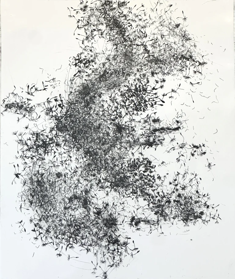 The Sound of the Wind ed4 by Jo McChesney