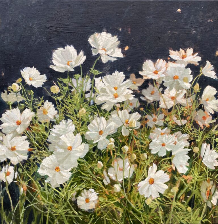 White Cosmos on a Black Background by Anne-Marie Butlin