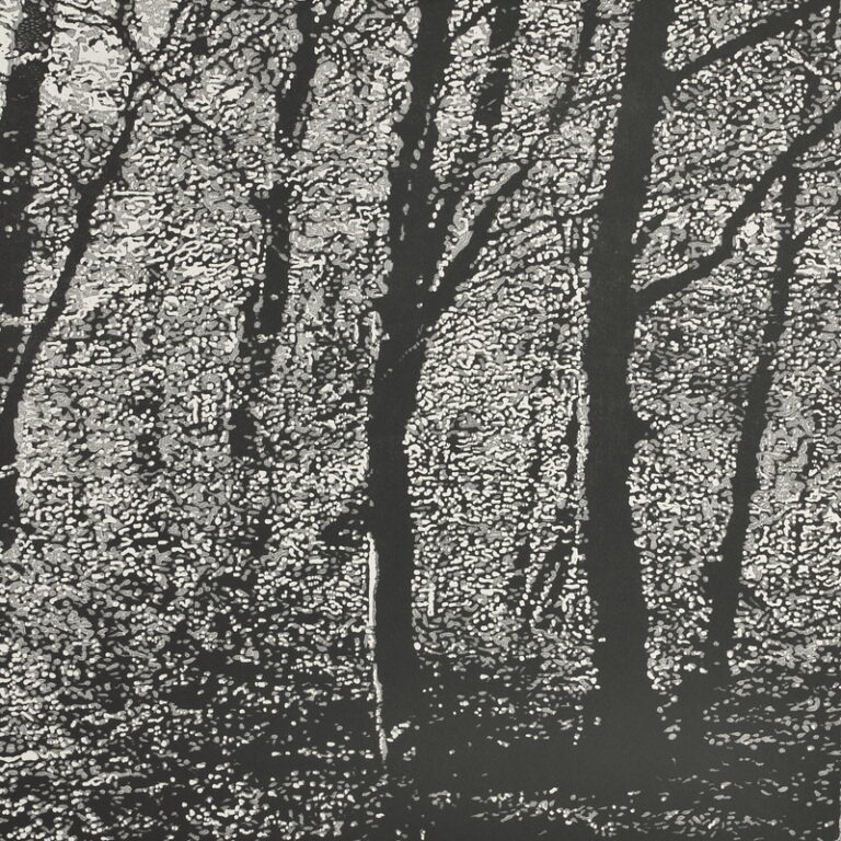 Woodland VII ed12 by Trevor Price