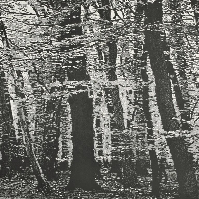 Woodland VI ed5 by Trevor Price