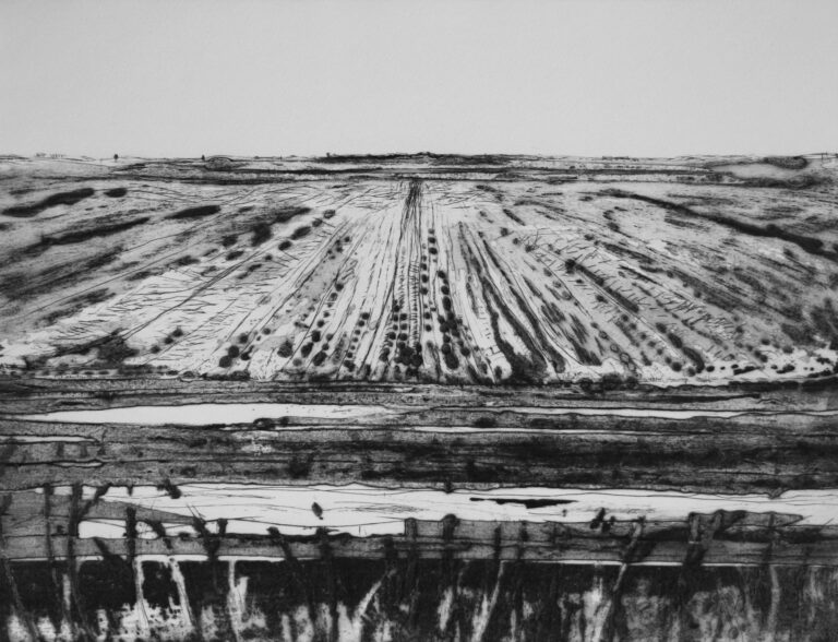 Fen State III ed7 by Iona Howard